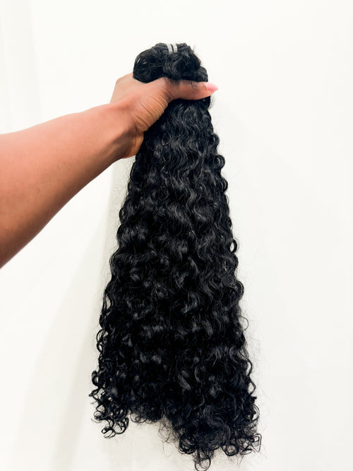 Beautiful Burmese Curly image 1